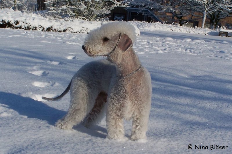 Svet 2008-01-05 (11).JPG